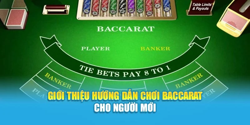 Giới thiệu hướng dẫn chơi Baccarat cho người mới