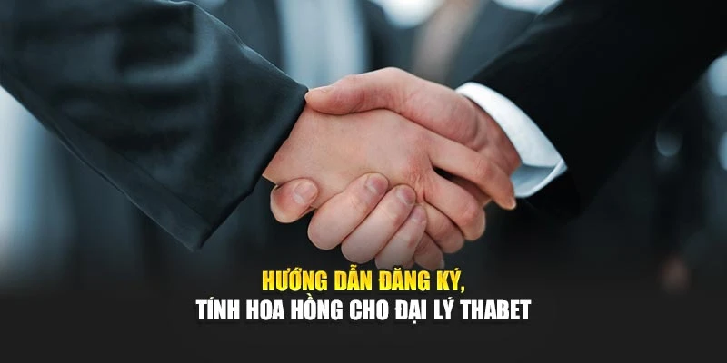 Hướng dẫn đăng ký, tính hoa hồng cho đại lý Thabet