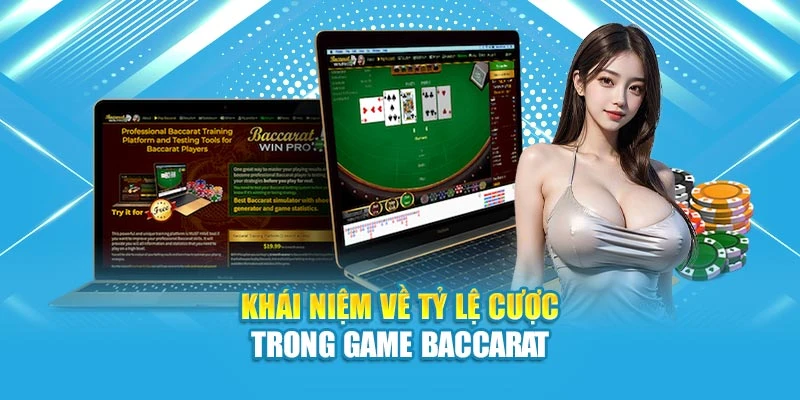 Khái niệm về tỷ lệ cược trong game Baccarat