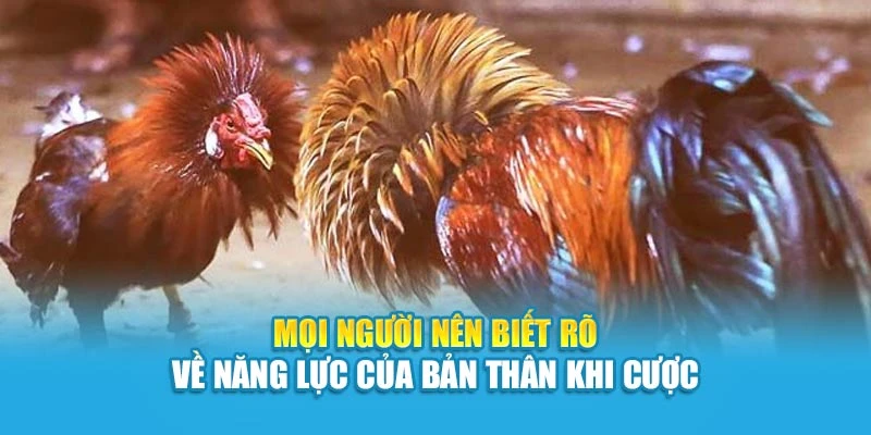 Mọi người nên biết rõ về năng lực của bản thân khi cược