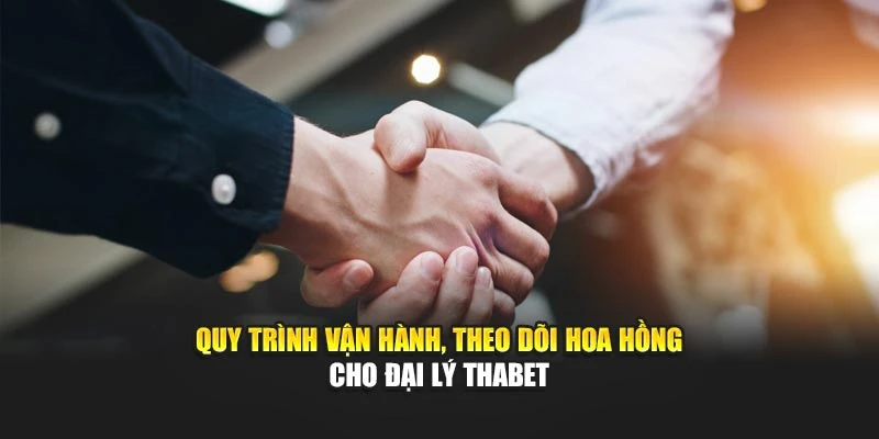 Quy trình vận hành, theo dõi hoa hồng cho đại lý Thabet