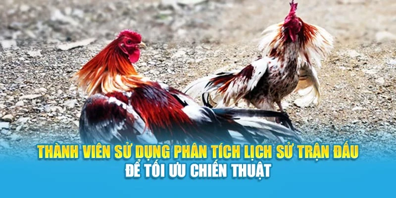 Thành viên sử dụng phân tích lịch sử trận đấu để tối ưu chiến thuật